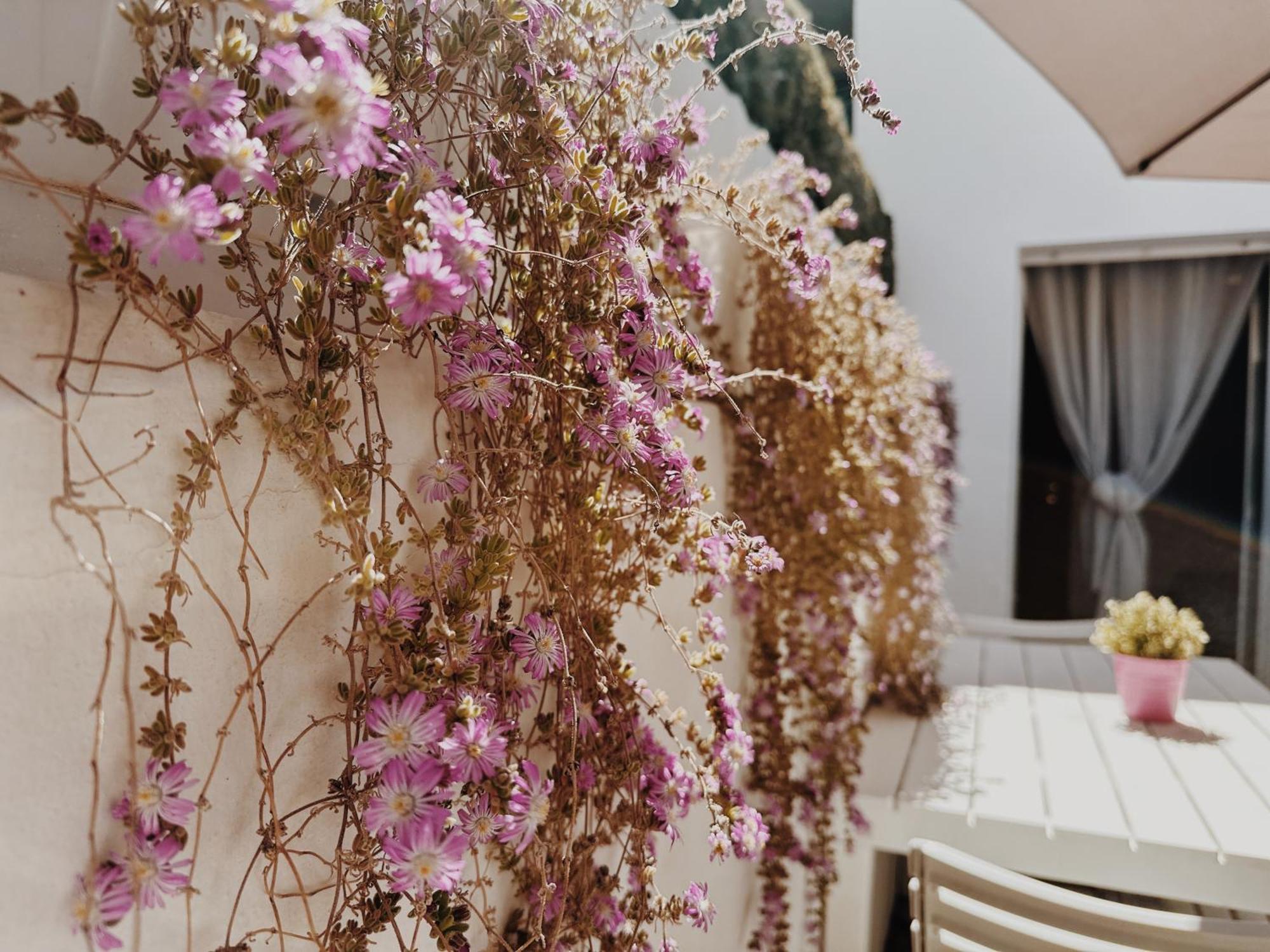 Maria House With Private Garden Olbia Exterior photo
