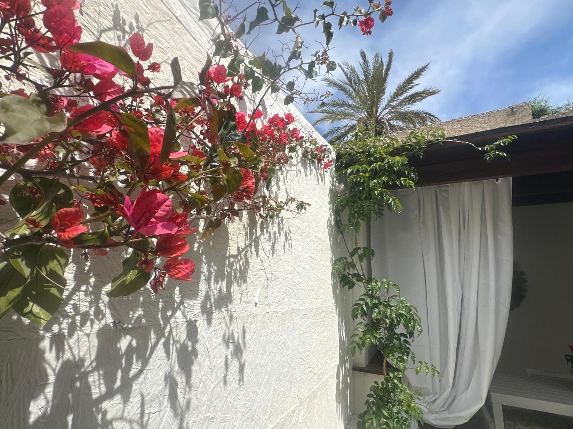 Maria House With Private Garden Olbia Exterior photo